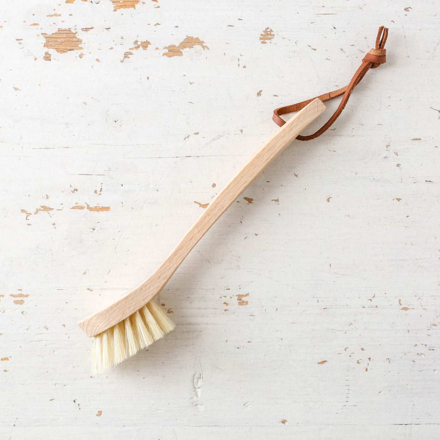 Camping Dish Brush