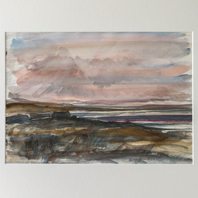 Large Vintage Original Watercolour Artwork - British Wetlands