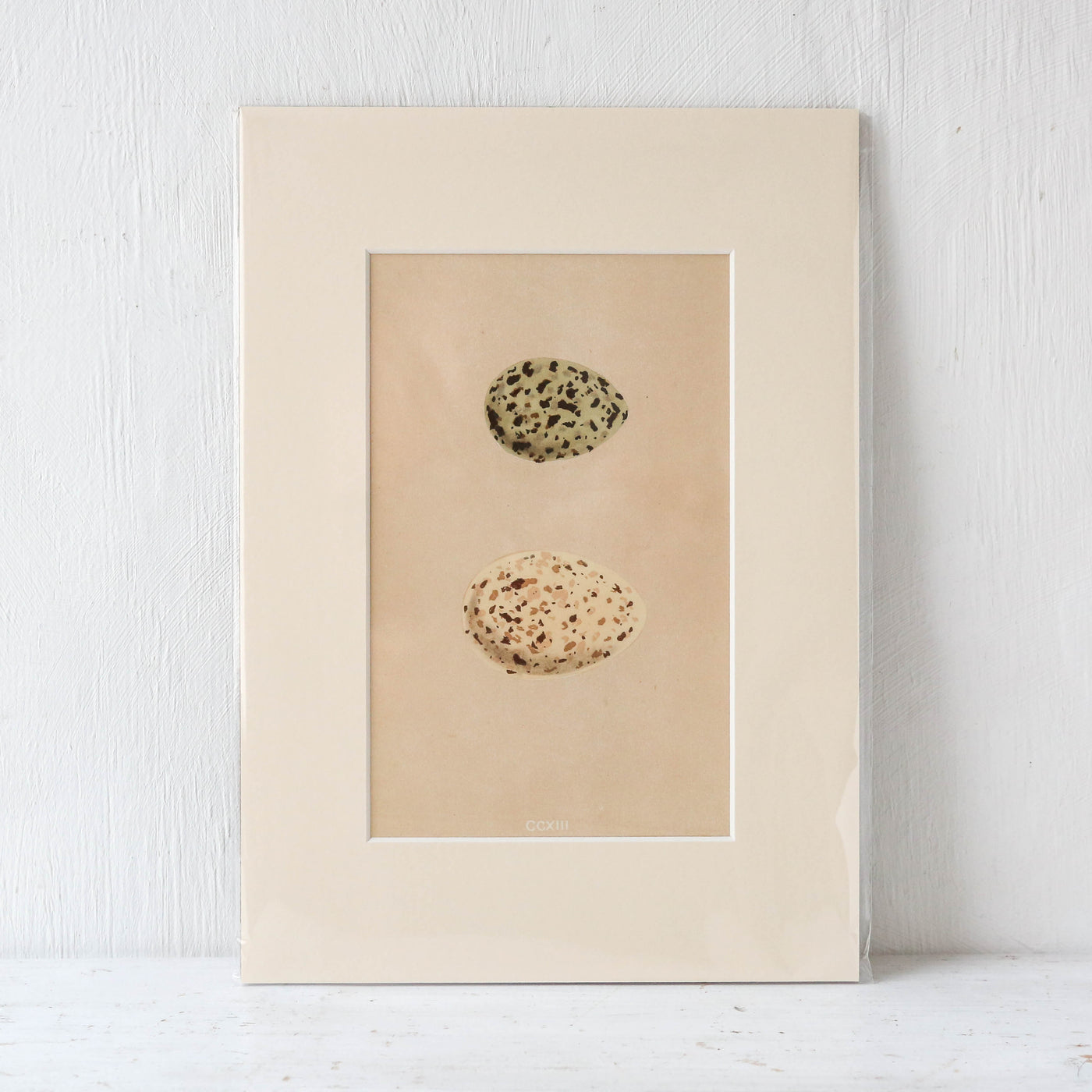 A4 Mounted Vintage Book Plate - Green Birds Eggs