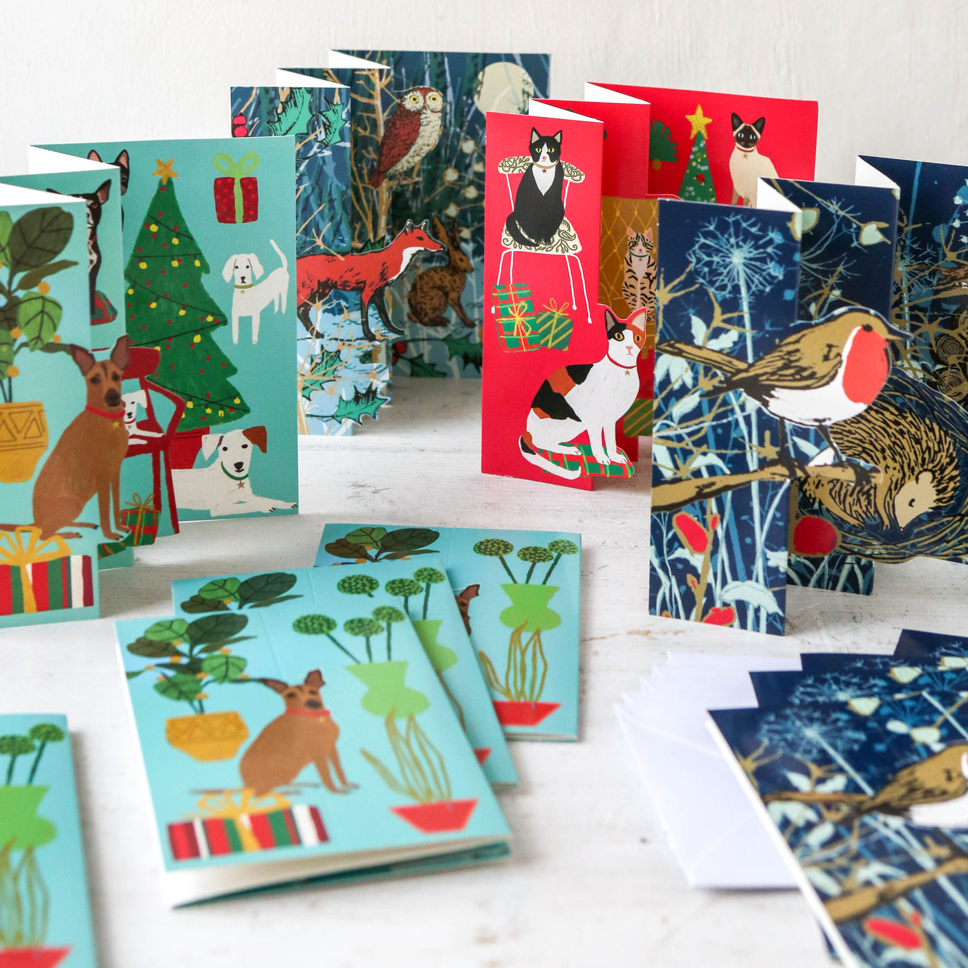 Winter's Tale Robin - Pack of 5 Pop-out Christmas Cards