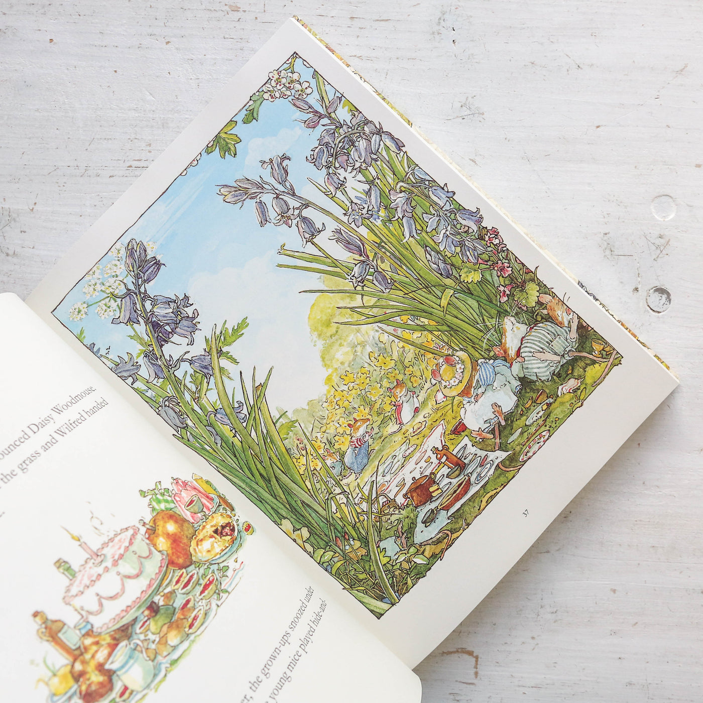 The Complete Brambly Hedge
