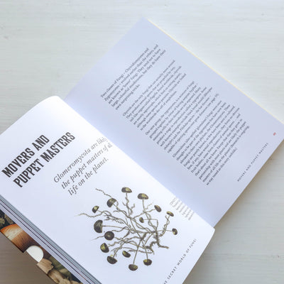 Fungi Decoded - Encounters with Thirty Fungi