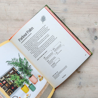 The Unkillables : 40 resilient house plants for new plant parents