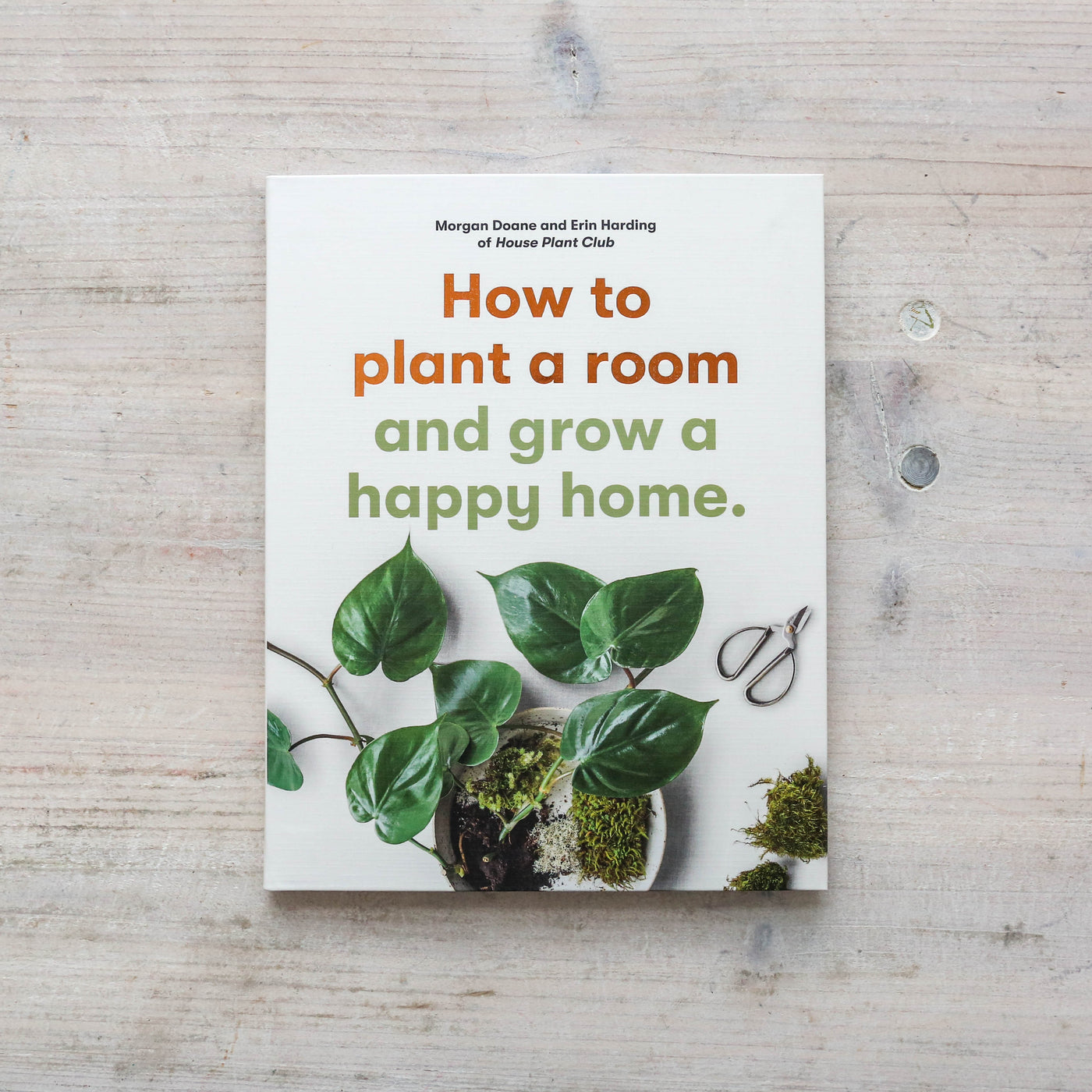 How to plant a room : and grow a happy home