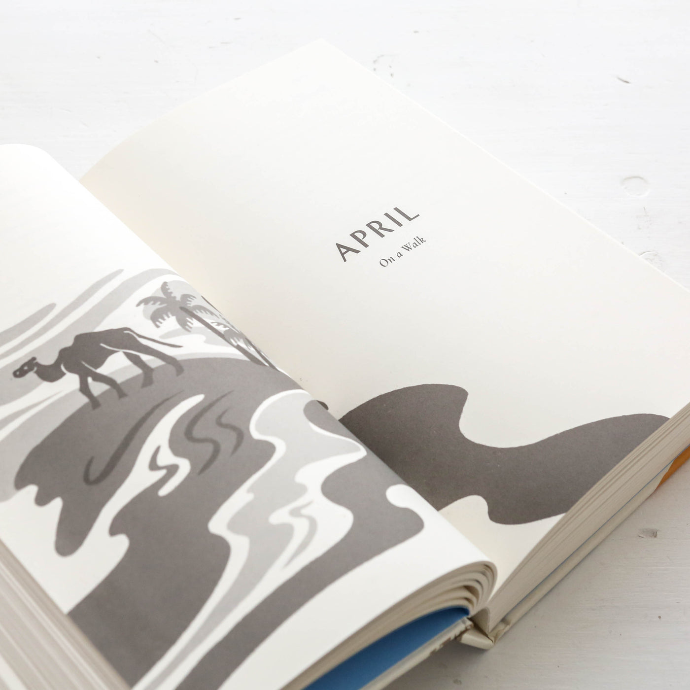 An Animal Poem for Every Day of the Year