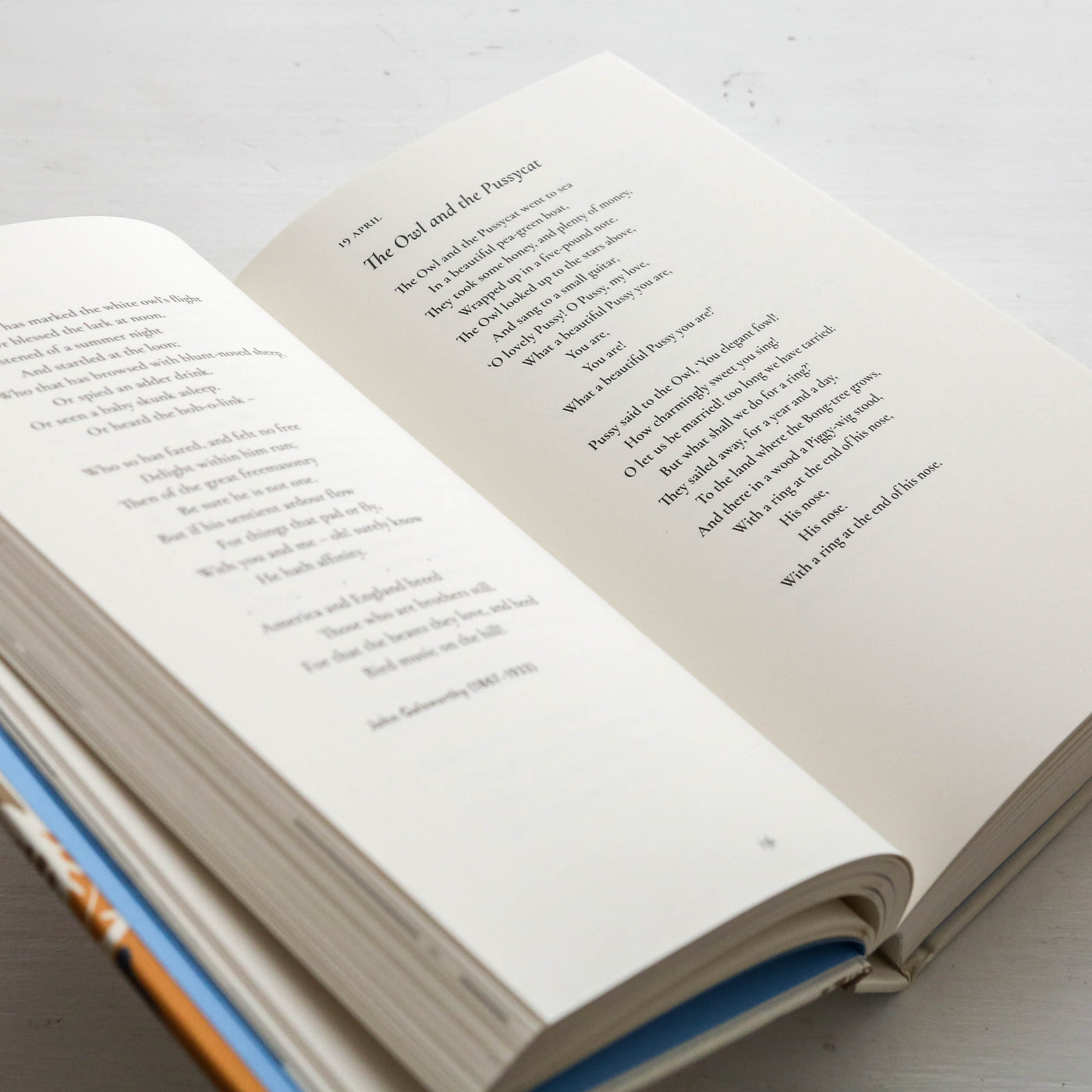 An Animal Poem for Every Day of the Year