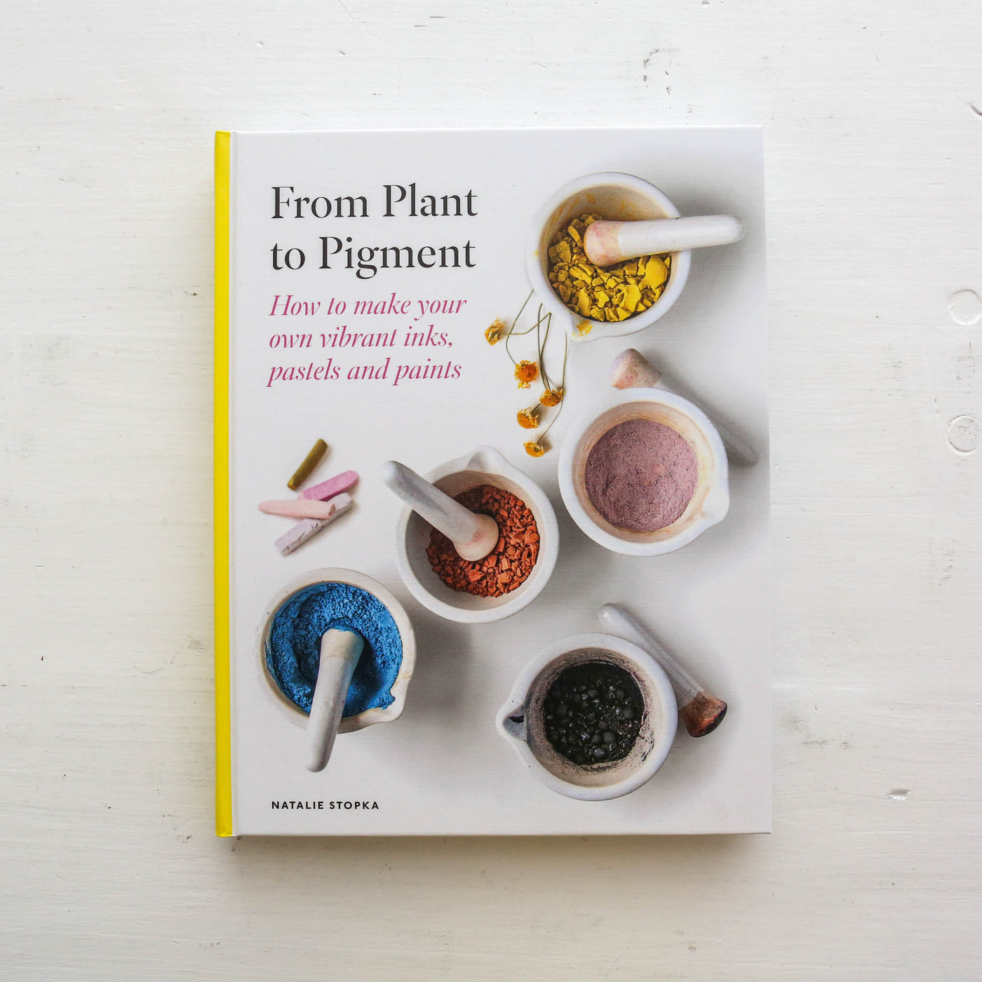 From Plant to Pigment : How to make your own vibrant inks, pastels and paints