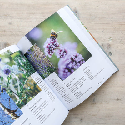 SALE Grow 5 : Simple seasonal ideas for small outdoor spaces with just five plants