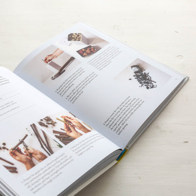 From Plant to Pigment : How to make your own vibrant inks, pastels and paints