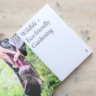 SALE The Modern Gardener: A practical guide to gardening creatively, productively and sustainably