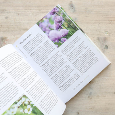 SALE The Modern Gardener: A practical guide to gardening creatively, productively and sustainably
