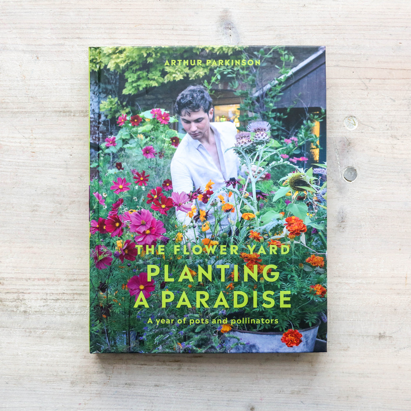 Planting a Paradise : A year of pots and pollinators