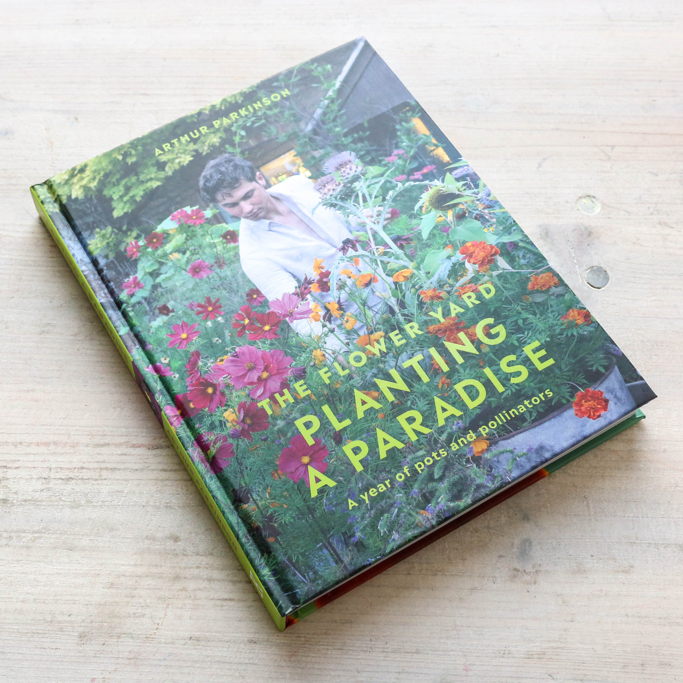 Planting a Paradise : A year of pots and pollinators