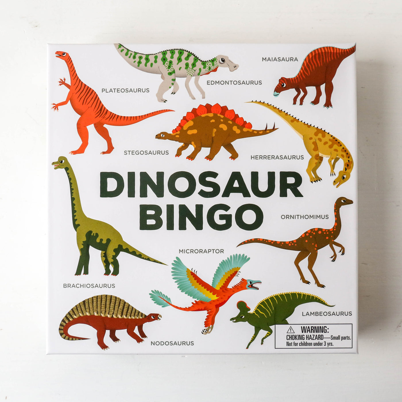 Dinosaur Bingo Game