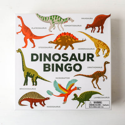 Dinosaur Bingo Game
