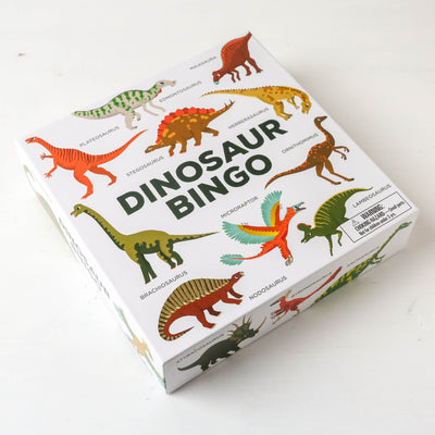 Dinosaur Bingo Game