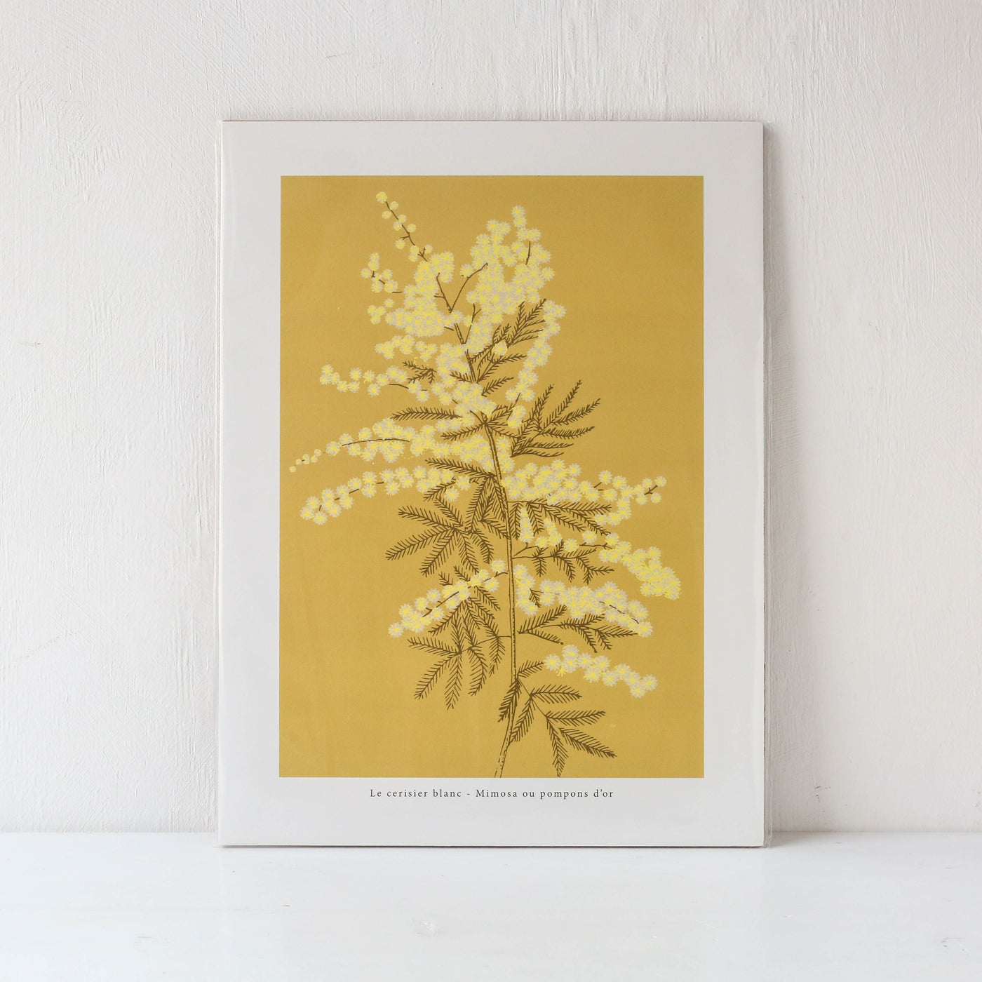Mimosa Print - 30 x 40cm
