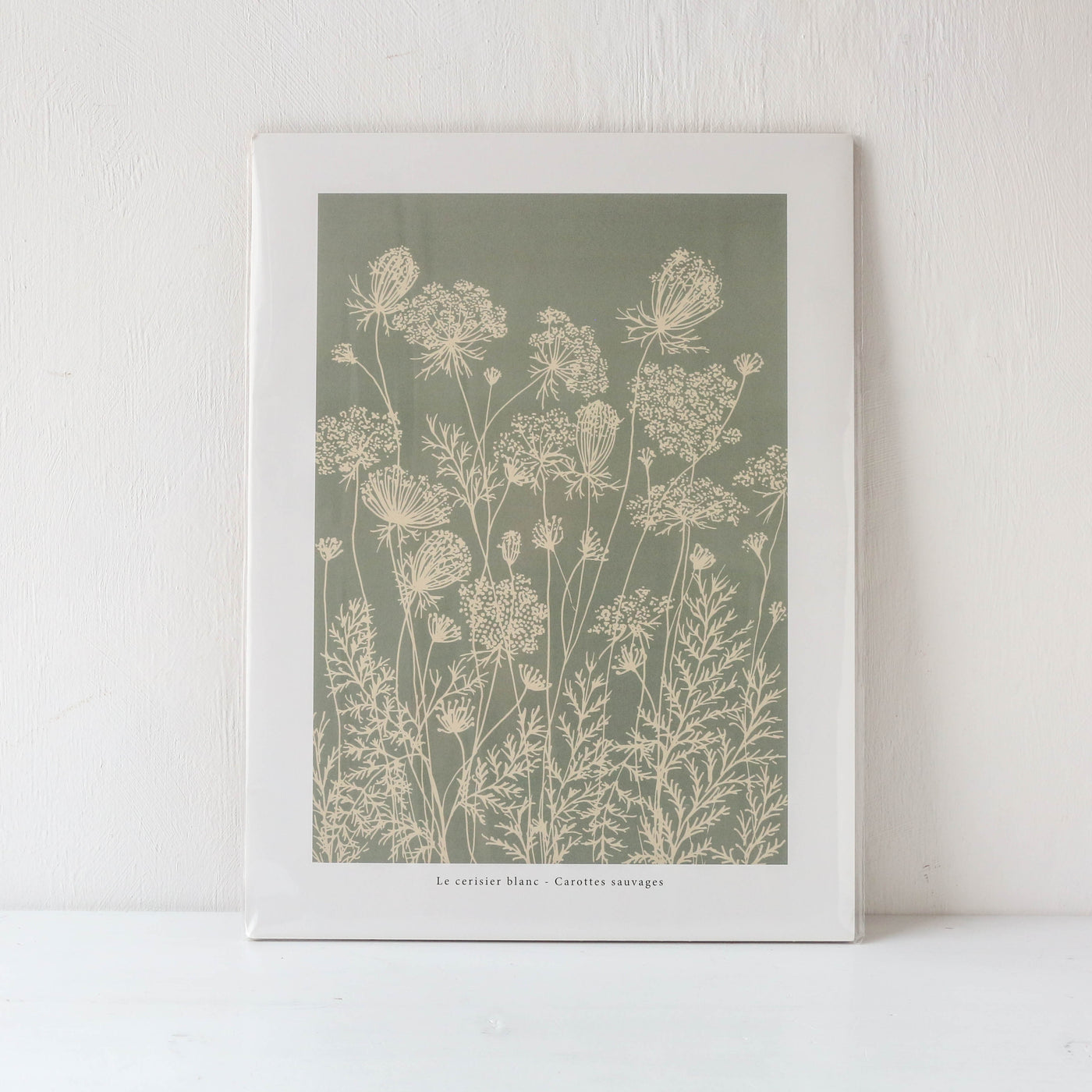 Wild Carrot 'Carottes Sauvages' Print - 30 x 40cm