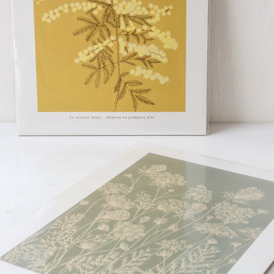 Mimosa Print - 30 x 40cm