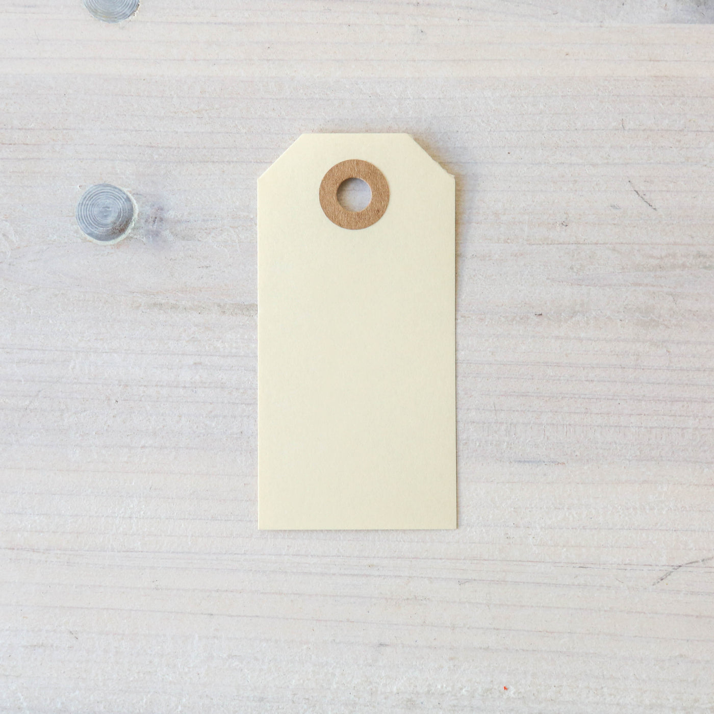 Pack of 10 Kraft Gift Tags - Large