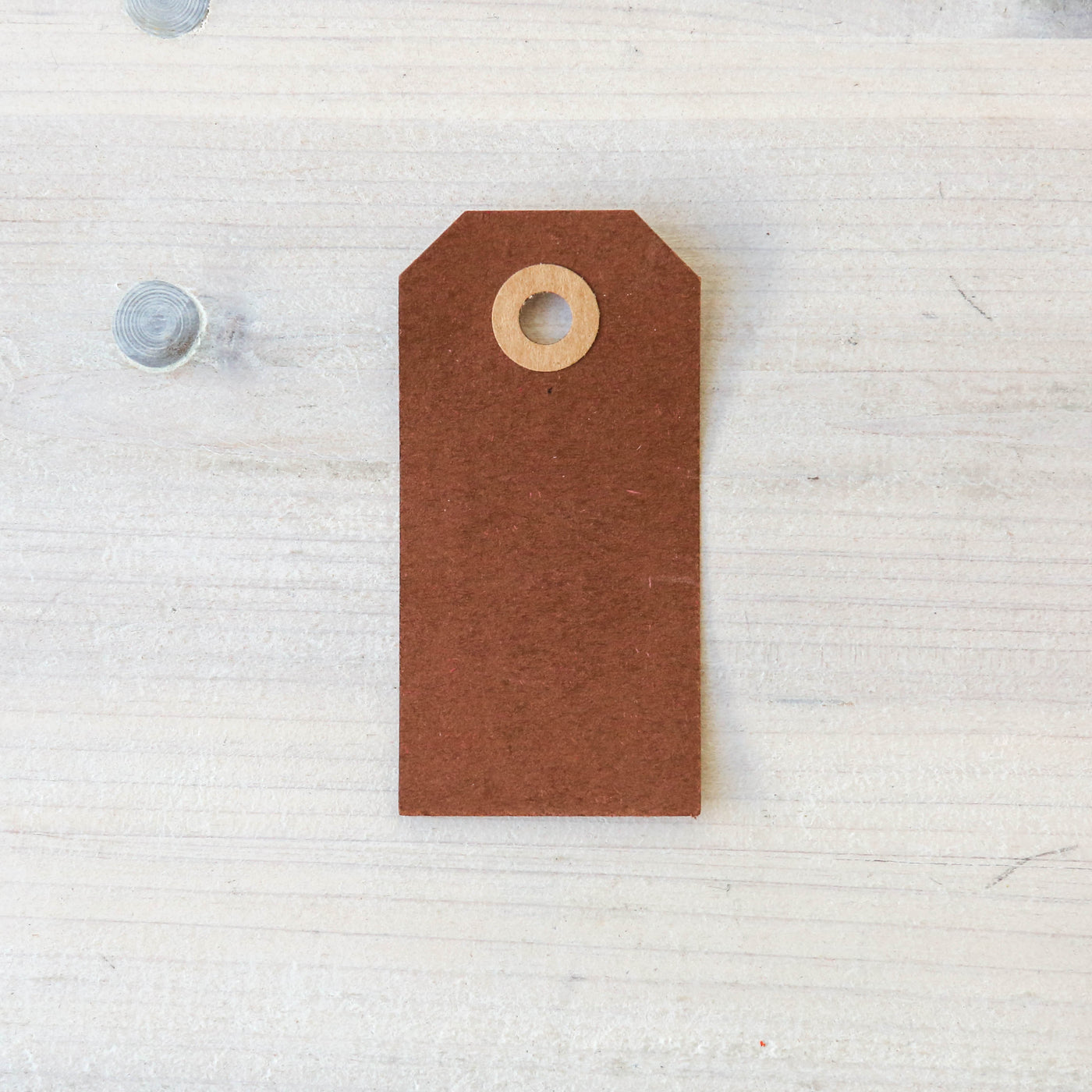 Pack of 10 Kraft Gift Tags - Large