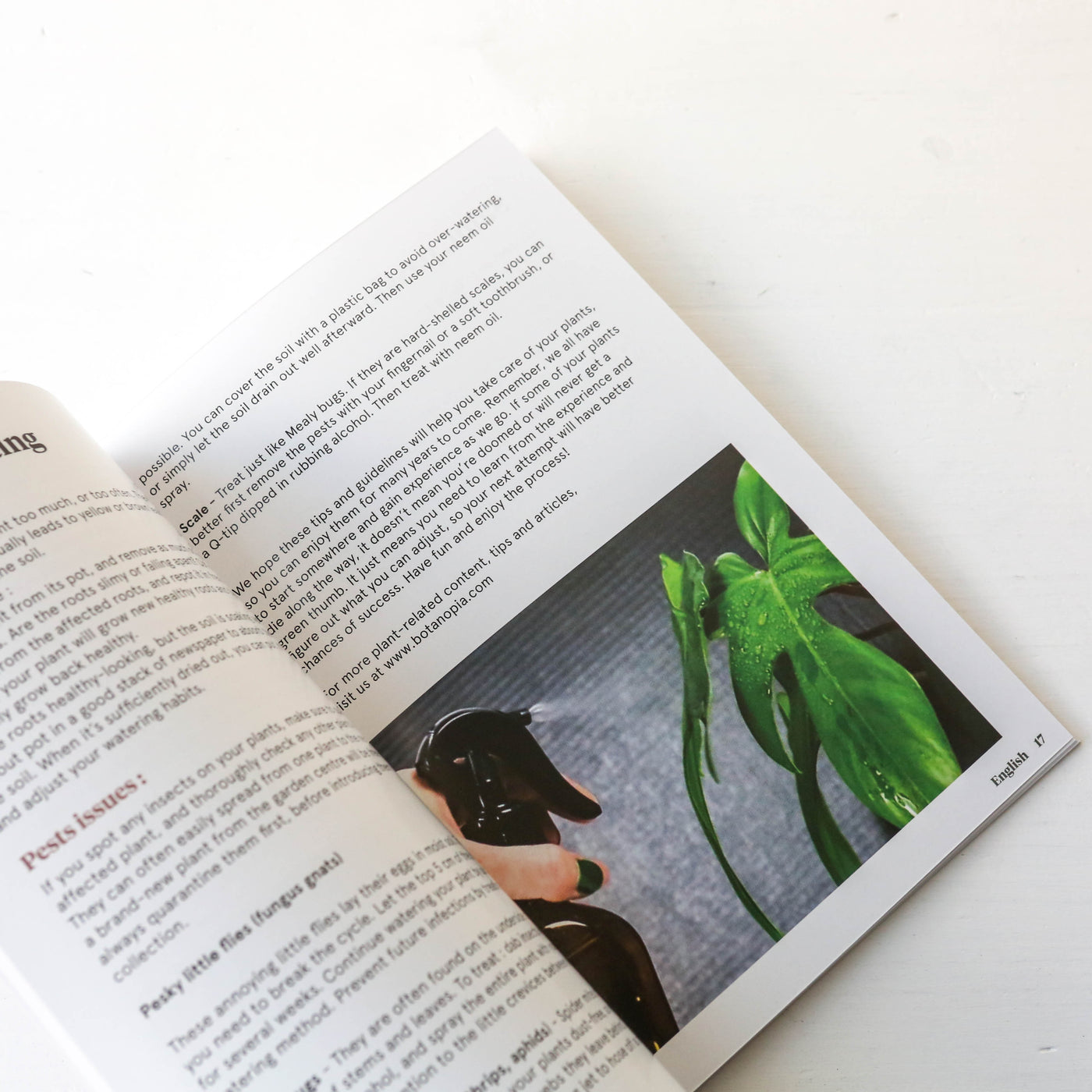 SOS Plant Kit