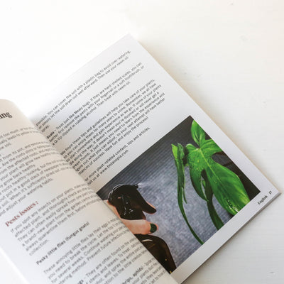 SOS Plant Kit