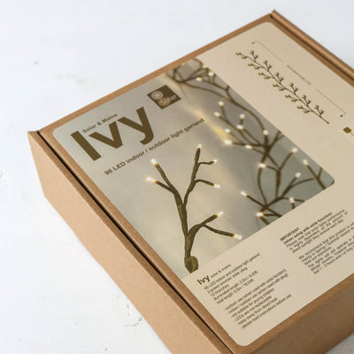 2.5m Illuminated Winter Ivy Branch, Mains & Solar Powered