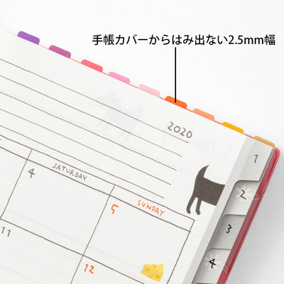 Midori Index Label Chiratto 24 Colours