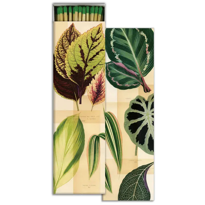 Garden Foliage Long Boxed Matches