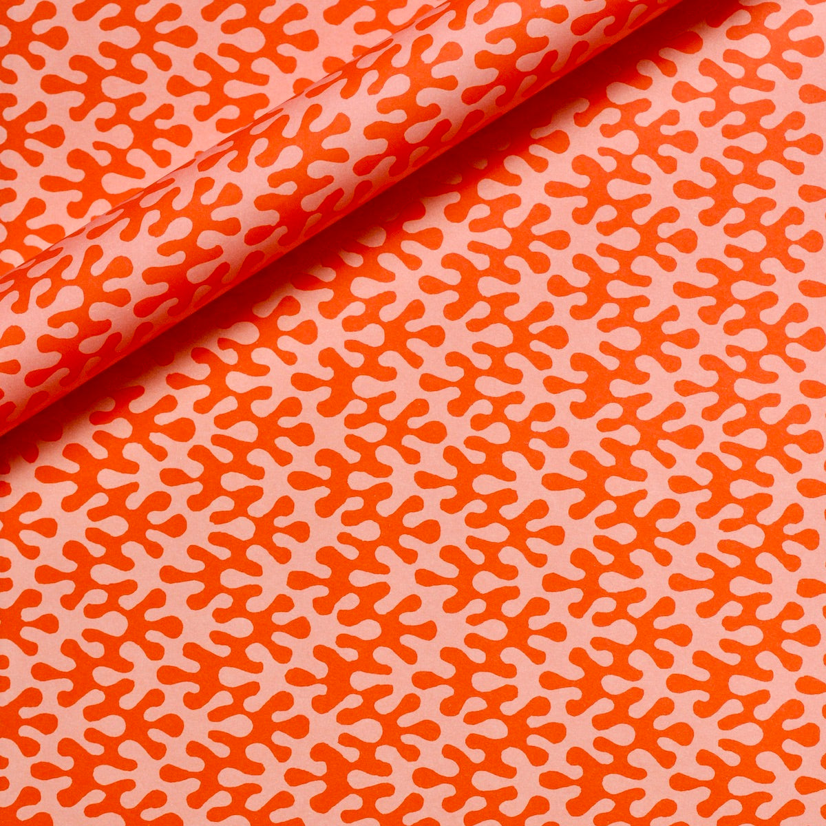 'Kelp Tangerine' Wrapping Paper