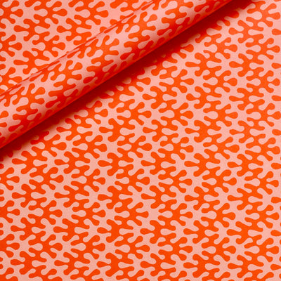 'Kelp Tangerine' Wrapping Paper
