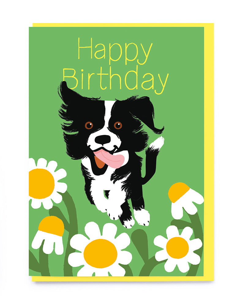 Border Collie Birthday Card