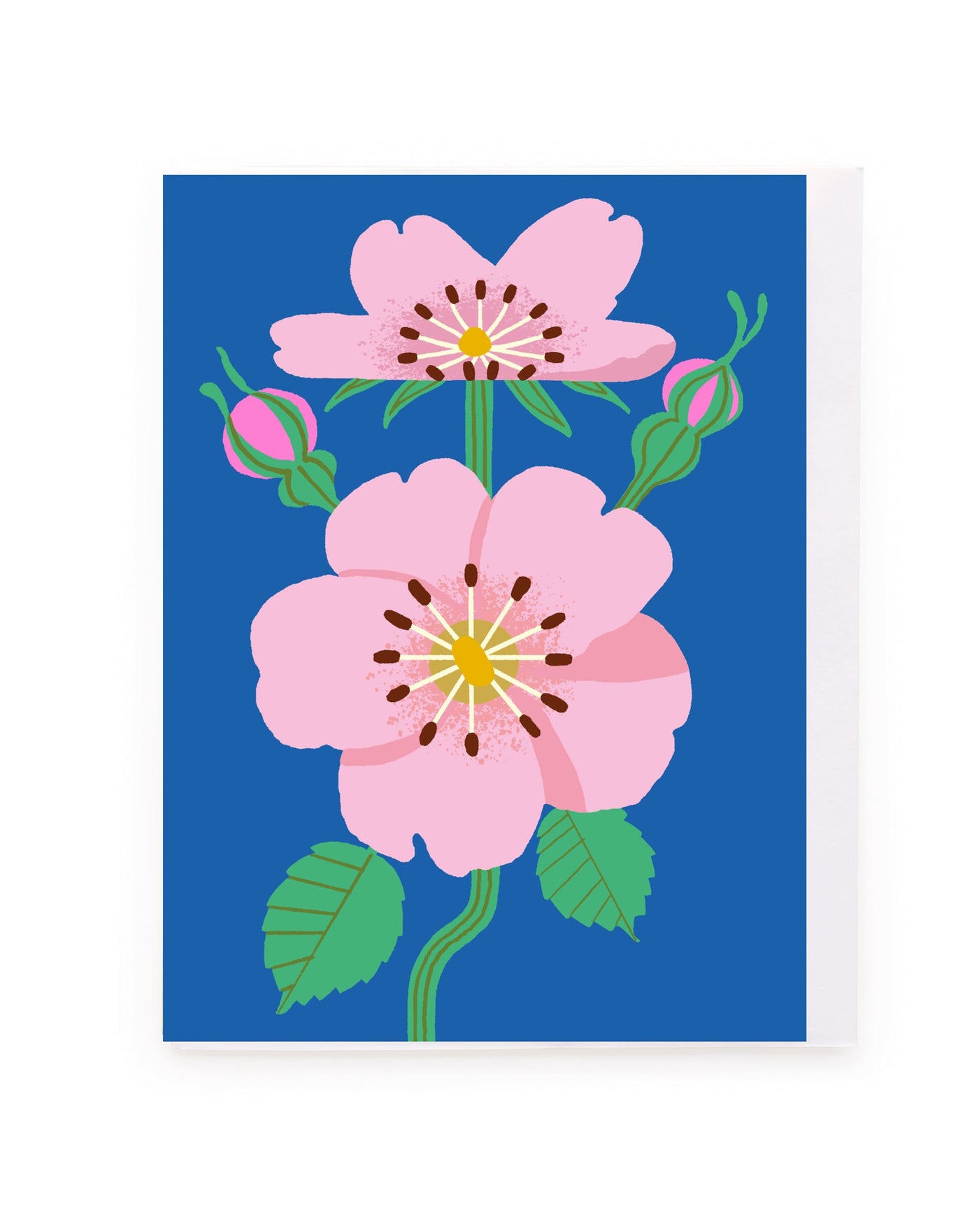 Pink Roses on Blue Mini Card