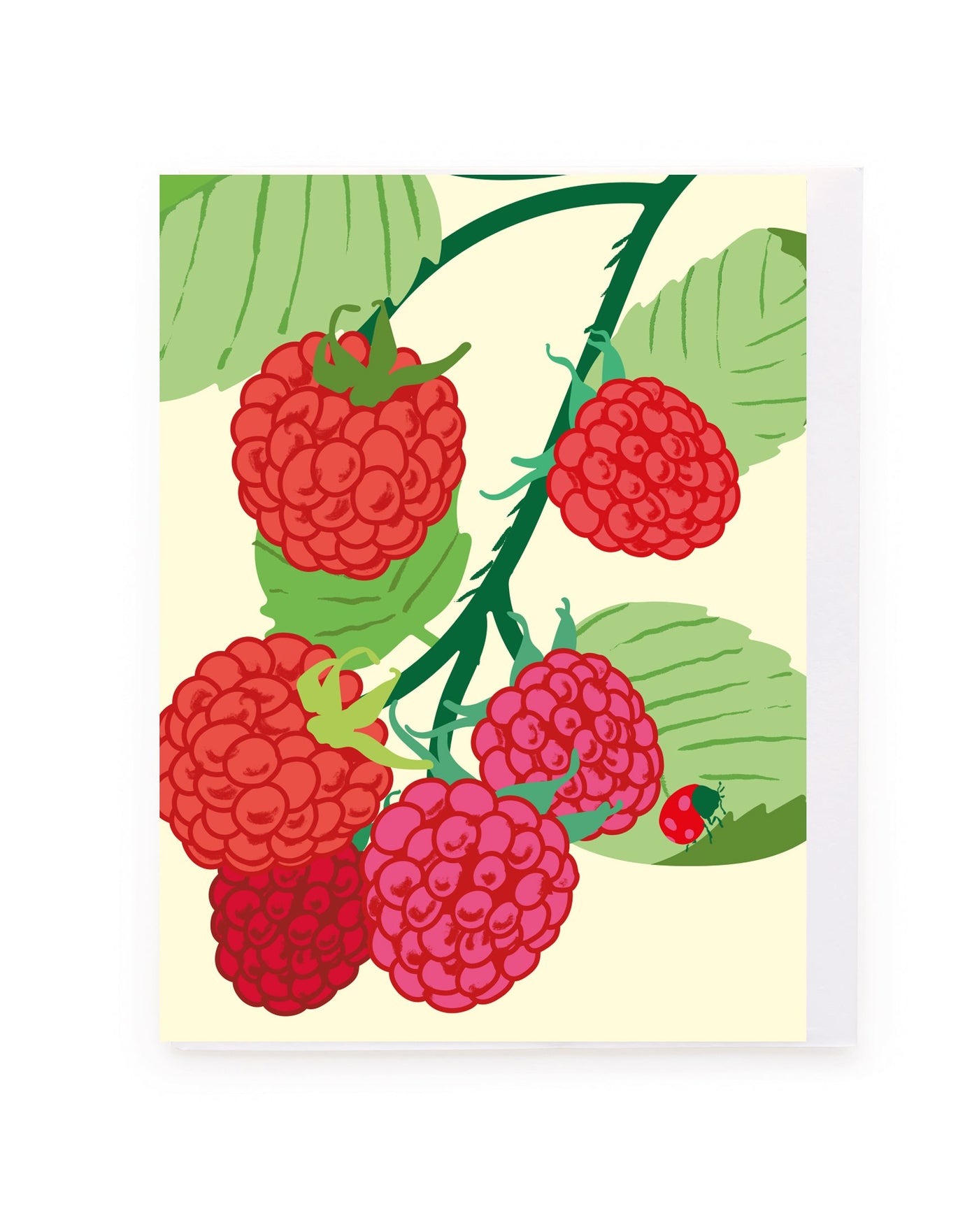 Raspberries Mini Card