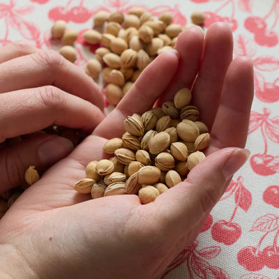 Cherry Stone Hot & Cold Pillow