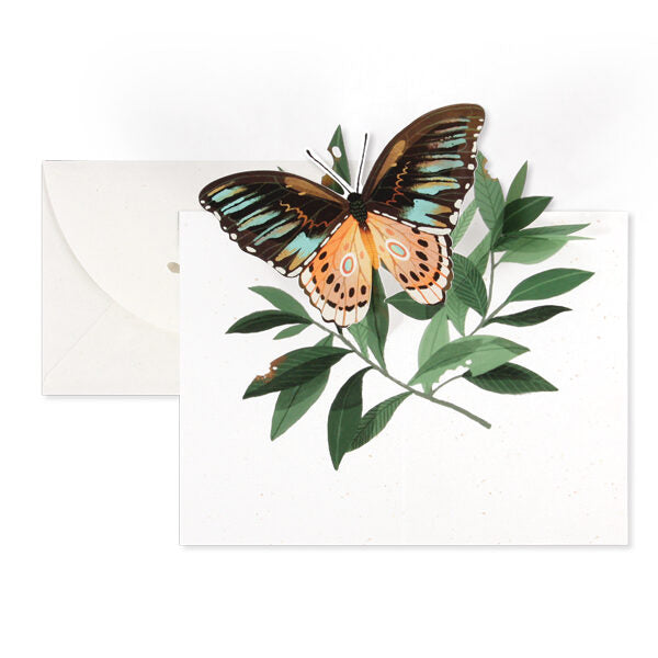 Butterfly Pop-Up Card