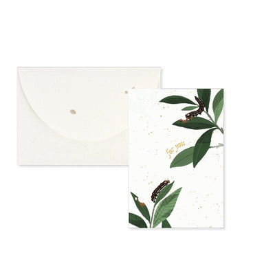Butterfly Pop-Up Card