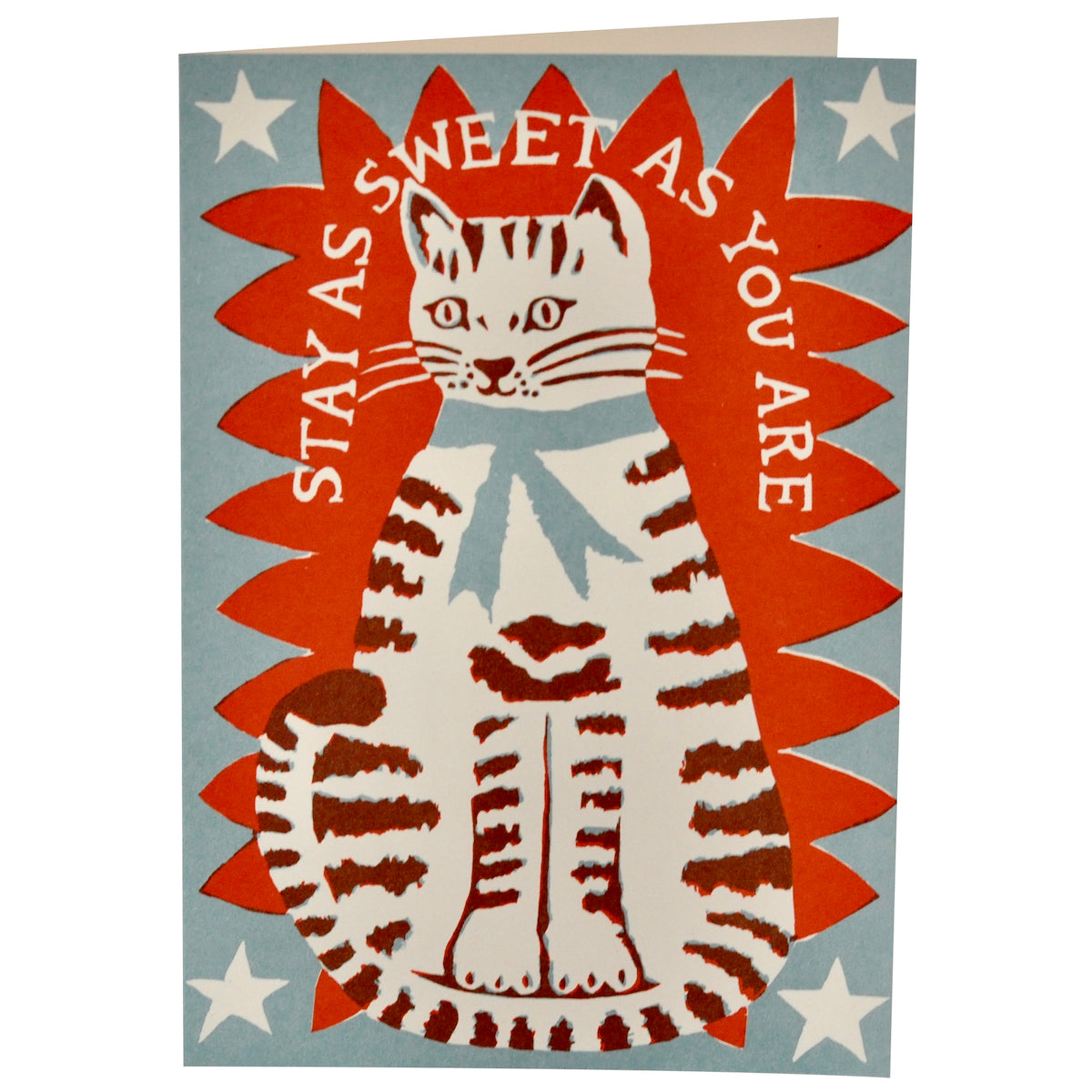 Large Sweet Cat Greetings Card