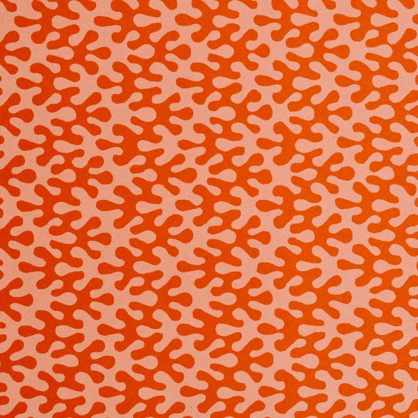 'Kelp Tangerine' Wrapping Paper