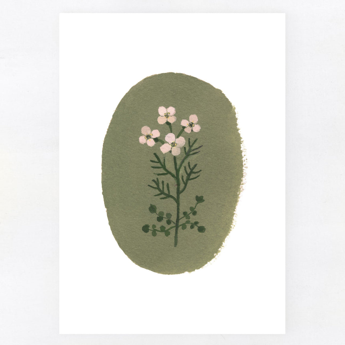 Cuckoo Flower A5 Print