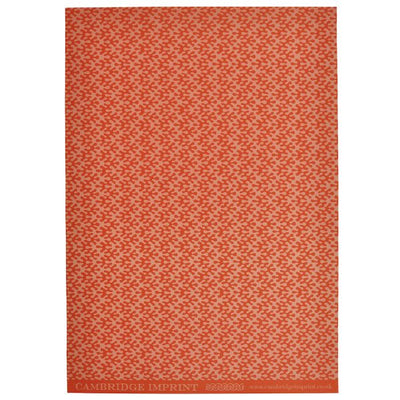 'Kelp Tangerine' Wrapping Paper