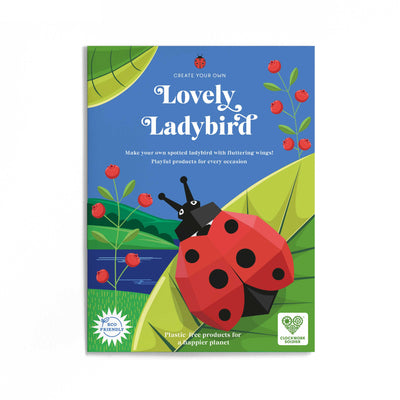 Create Your Own Lovely Ladybird Kit