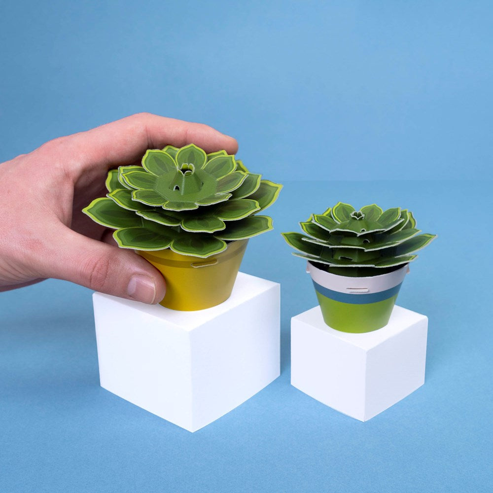 Mini Paper Plant Kit - Succulent