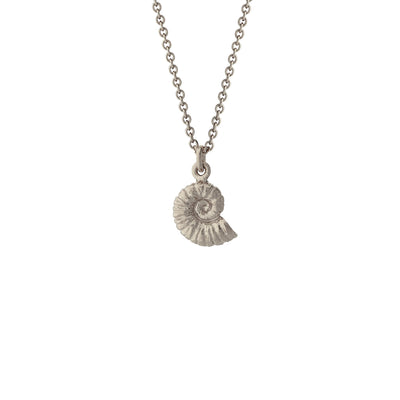 Ammonite Necklace - Silver