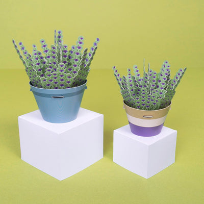 Mini Paper Plant Kit - Lavender
