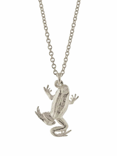 Frog Necklace - Silver