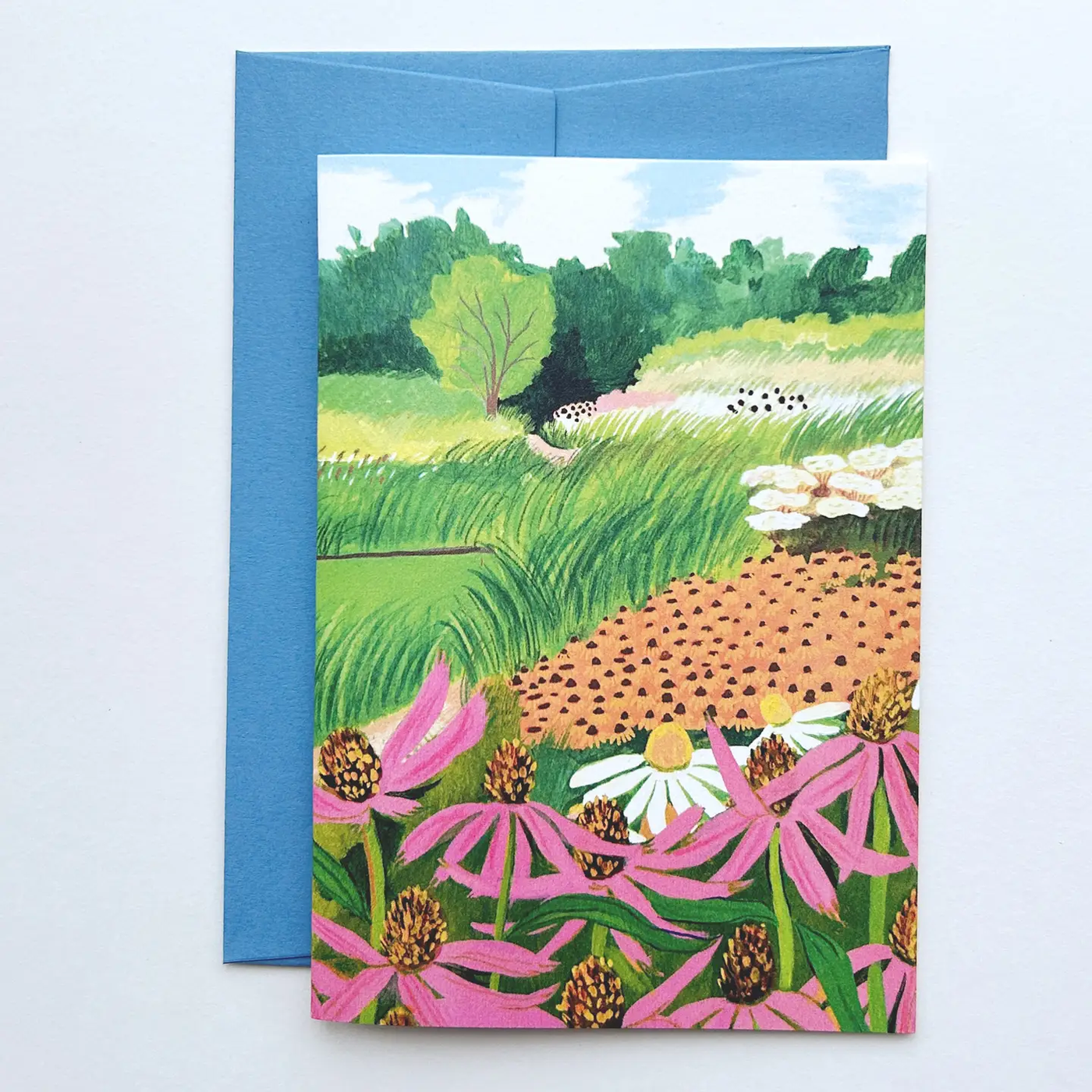 Echinacea Card