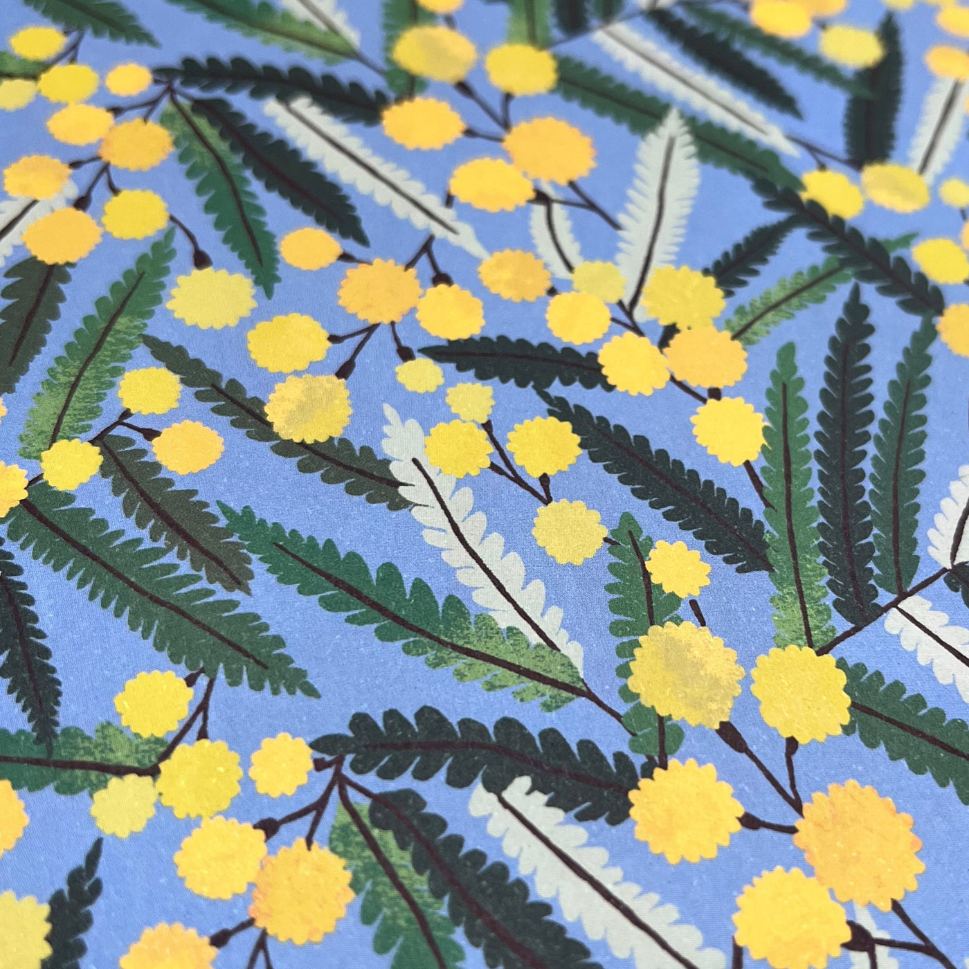 Mimosa Wrapping Paper by Brie Harrison