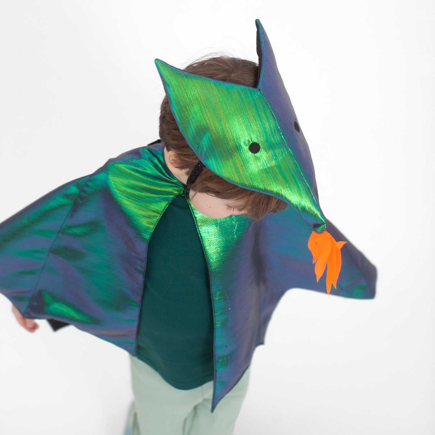 Dragon Dress Up Costume